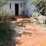 piso deck eucalipto grandis lomas